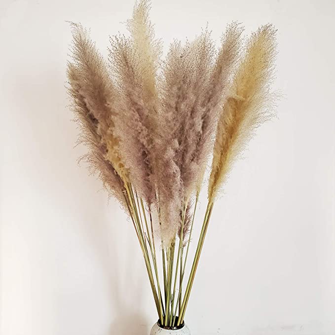 Photo 1 of (CRACKED ENDS) natural grey dried pamnas decor, 4ft tall, 5 stems