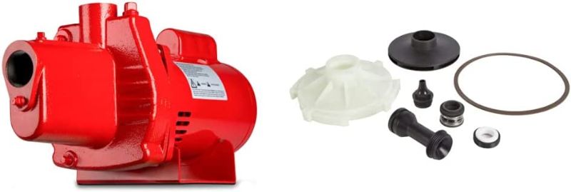 Photo 1 of ***PARTS ONLY*** Red Lion RJS-100-PREM 602208 Premium Cast Iron Shallow Jet Pump for Wells up to 25 ft, 9.1 x 17.8 x 9.1 inches & Lion 305584008 Overhaul Kit for RJS-100-PREM Pump
