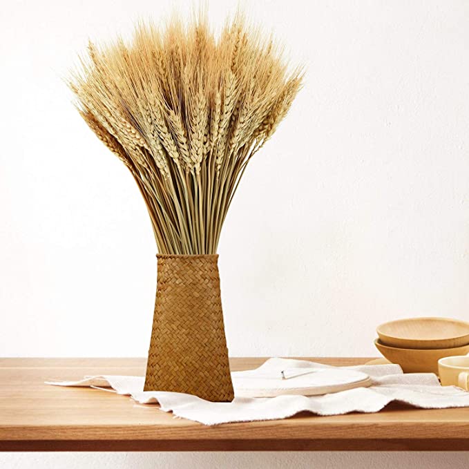 Photo 1 of  100 Stems FALSE Wheat Decor for Home Kitchen Christmas Wedding (15.7 Inches)