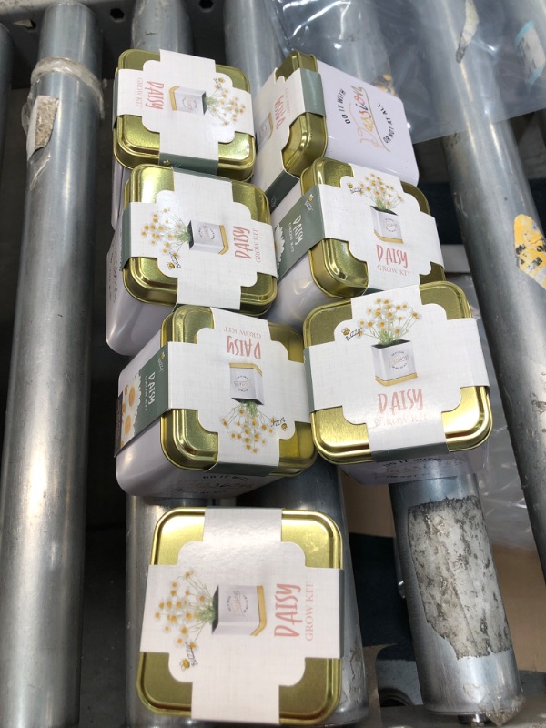 Photo 1 of 7PK-DAISY GROW KIT
