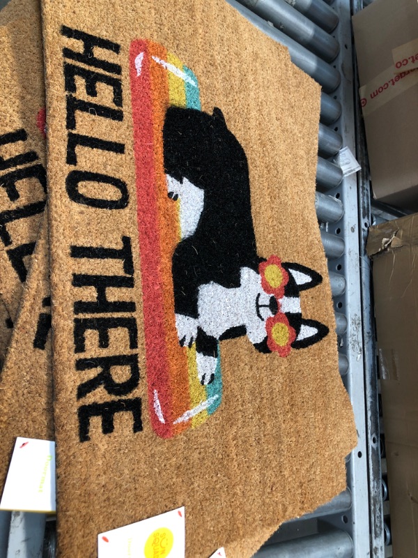 Photo 2 of 2pk-1'6x2'6 Hello Summer Dog Doormat Natural - Sun Squad
