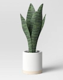 Photo 1 of 3 PACK: Small Snake Plant in Ceramic Pot White - Threshold
