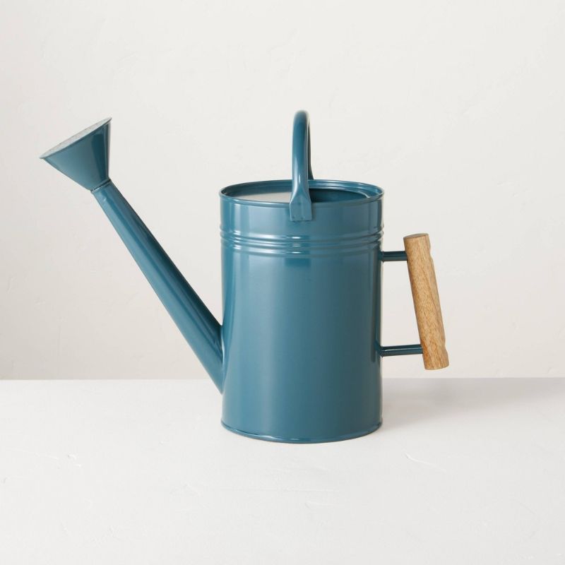 Photo 1 of 2 of -3.2L Metal Watering Can - Hearth & Hand™ with Magnolia
