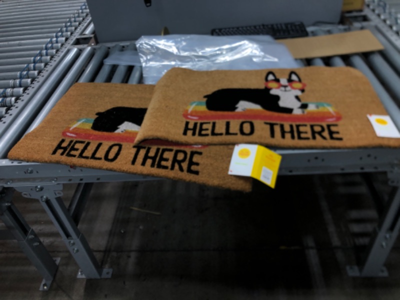 Photo 2 of 1'6"x2'6" Hello Summer Dog Doormat Natural - Sun Squad™

