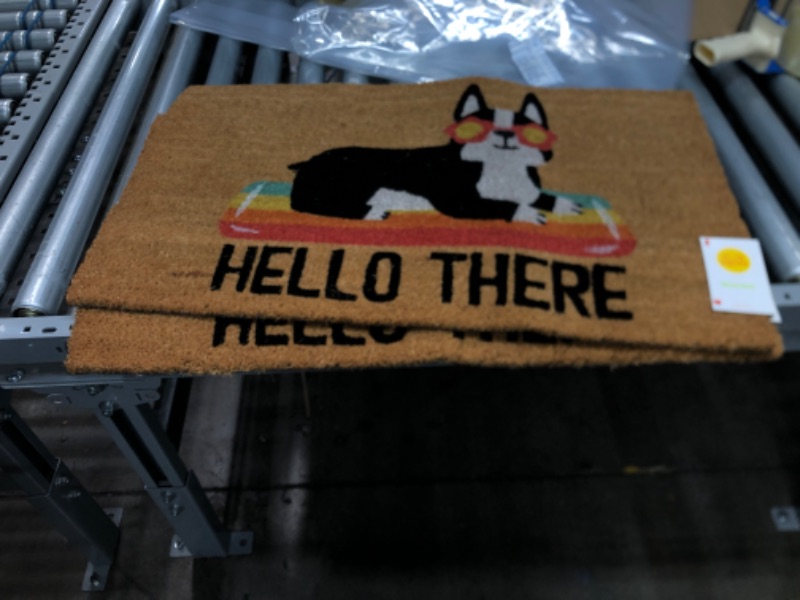 Photo 2 of 1'6"x2'6" Hello Summer Dog Doormat Natural - Sun Squad™
