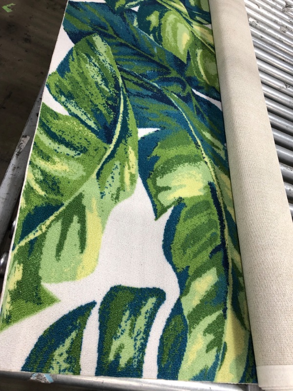 Photo 2 of 5'x8' Multi Tropical Foliage Indoor/Outdoor Area Rug
