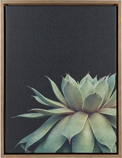 Photo 1 of Kate and Laurel Sylvie Succulent Plant Framed Canvas Wall Art, Botanical Green with Black Background, 18x24 Gold
