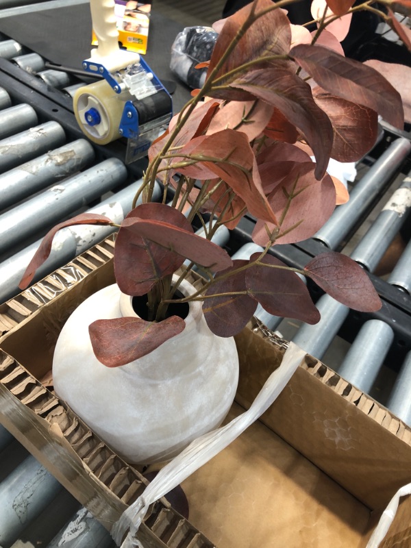 Photo 2 of 20 X 20 Faux Rusted Eucalyptus Ceramic Pot Arrangement - Hearth & Hand with Magnolia
