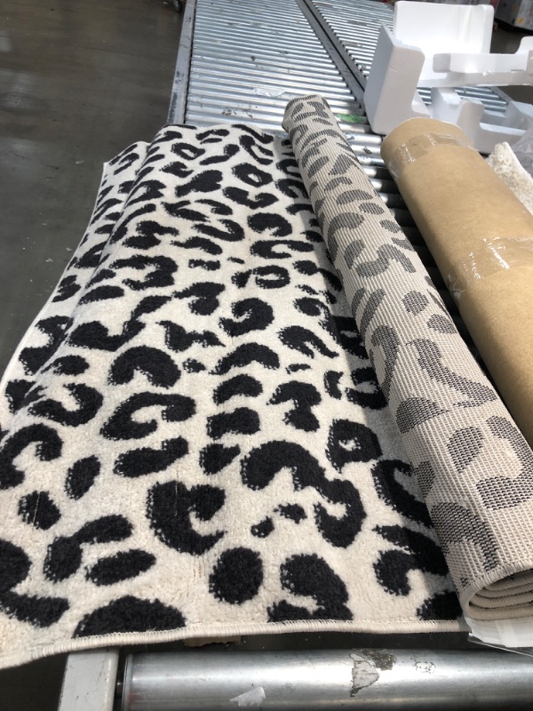 Photo 3 of **DIRTY**
nuLOOM Print Leopard Area Rug, 4 ft x 6 ft, Dark Grey
