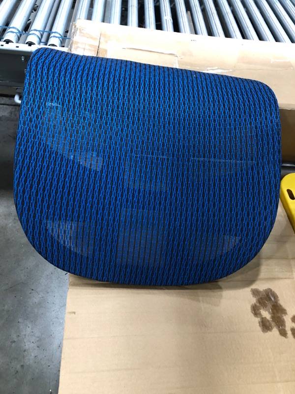 Photo 5 of Dcenta Ergonomic mesh chair in BLUE color
