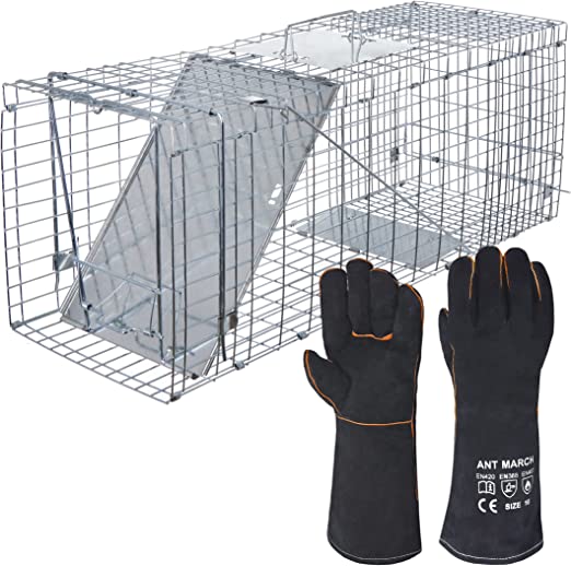 Photo 1 of ANT MARCH Live Animal Cage Trap 32''x11.5"x13" Steel Humane Release Rodent Cage Iron Door for Rabbits, Stray Cat, Squirrel, Raccoon, Mole, Gopher, Opossum, Skunk, Chipmunks, Groundhog
