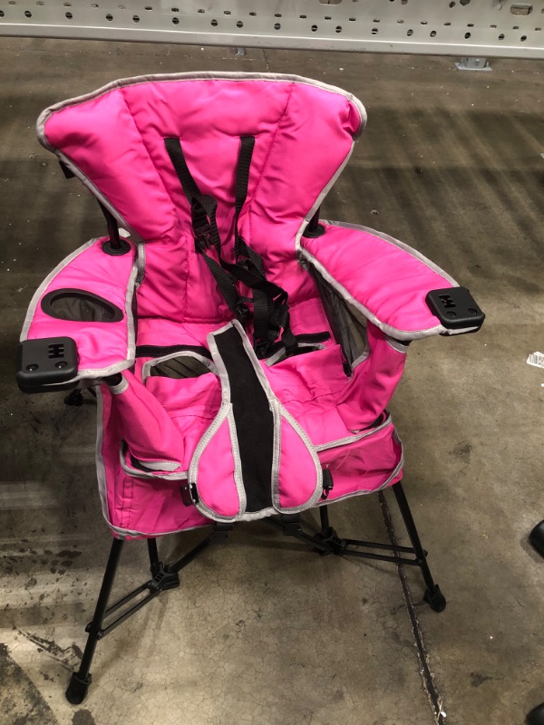Photo 1 of Baby Delight Go with Me Venture Chair|Indoor/Outdoor Portable Chair with Sun Canopy|Pink|3 Child Growth Stages: Sitting, Standing and Big Kid|3 Months to 75 lbs|Weather Resistant
