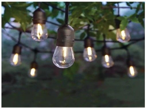 Photo 1 of 12-Light Indoor/Outdoor 24 ft. String Light with S14 Single Filament LED Bulbs