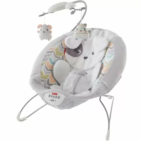 Photo 1 of Fisher-Price Sweet Snugapuppy Dreams Deluxe Bouncer Snugapuppy
