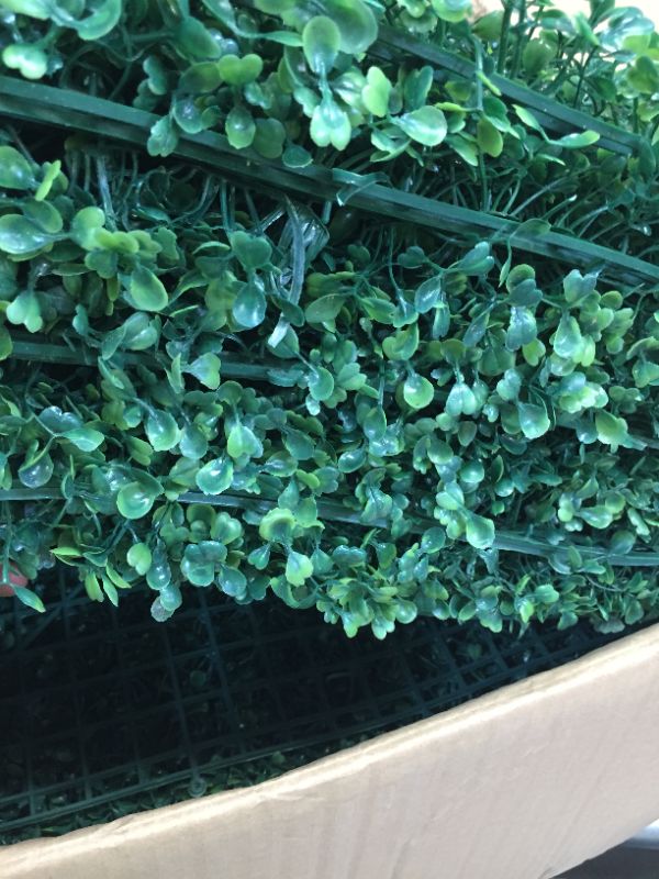 Photo 3 of 12 Pcs 20"X20" Boxwood Hedge Panels Green Wall
