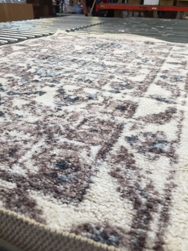 Photo 1 of 30x45in area rug