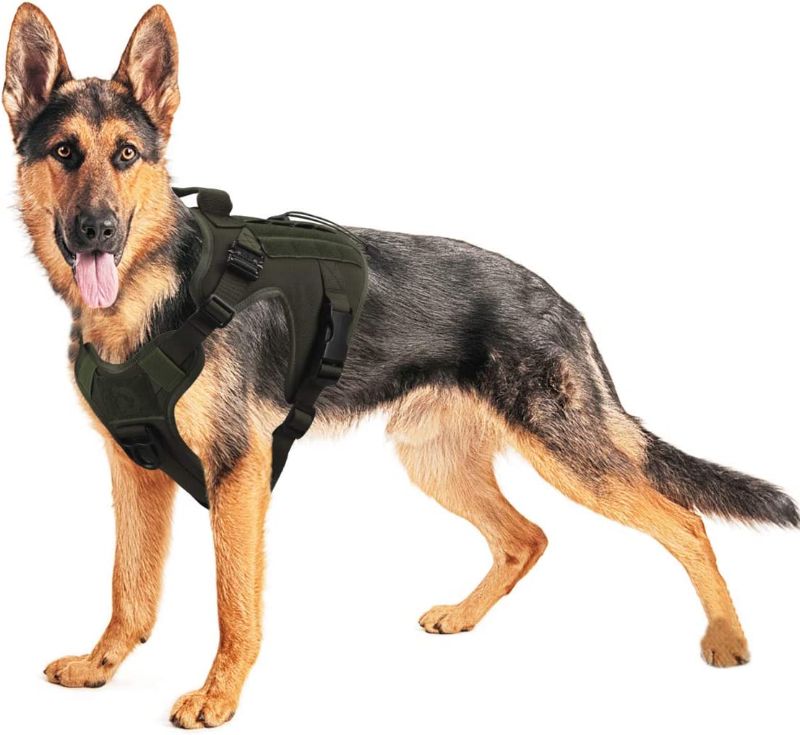 Photo 1 of Working Dog MOLLE Vest with Handle Military No Pull Adjustable Service Vest for Large Medium Dogs with 2 Metal Buckles, No Pulling Front Leash Clip, Hook & Loop for Dog Patch Training Hunting Walking

