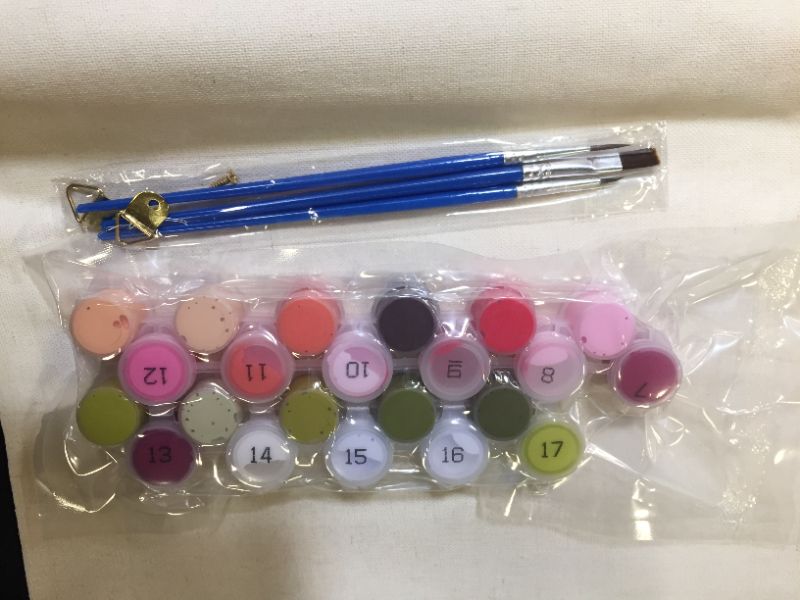 Photo 1 of  Hlison Paint by Numbers for Adults Beginner, Easy Acrylic Paint by Number, Flower Paint by Numbers for Kids (20”W x 16”L)