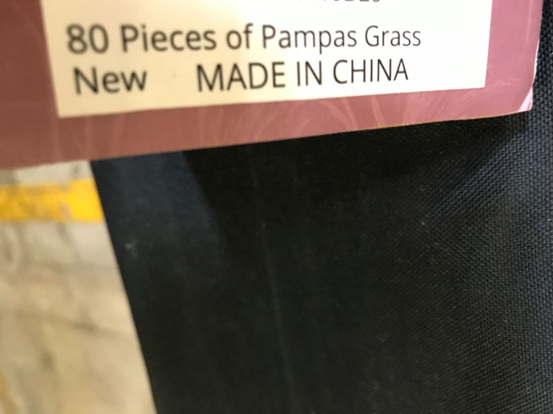 Photo 1 of 80 Pcs Pampas Grass 22" inch