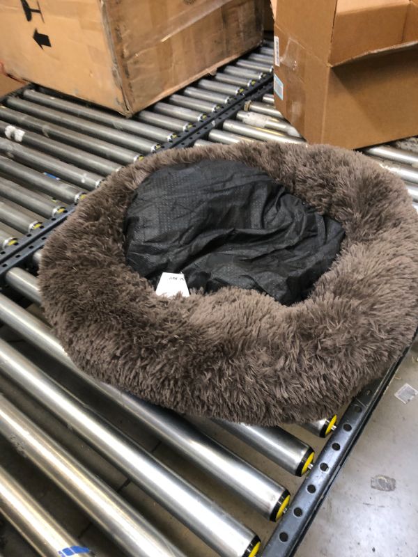 Photo 1 of doughnut medium dog bed 