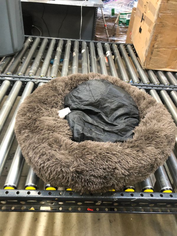 Photo 1 of doughnut medium dog bed 