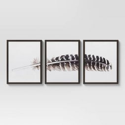 Photo 1 of (Set of 3) 16" x 20" Feather Framed Wall Art - Threshold™

