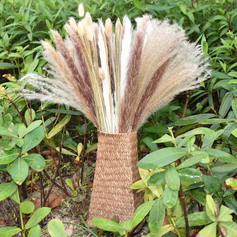 Photo 1 of Boho Pampas Grass Decor, 65 Pcs Small pompass Grass Branches, Natural Dried Plants for Home Décor by KABYTWO