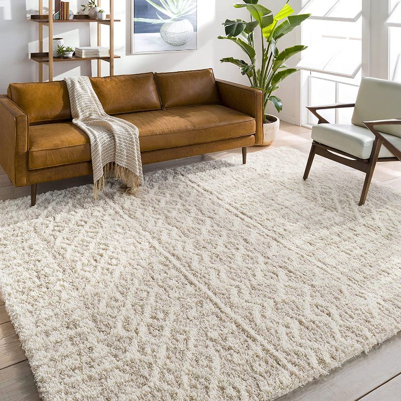 Photo 1 of Artistic Weavers Hapsburg Moroccan Shag Area Rug, 2'7" x 5', Beige, DIRTY/MARKINGS
