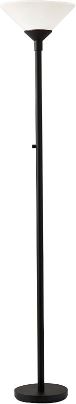 Photo 1 of Adesso Home 7500-01 Transitional Two Light Floor Lamp from Aries Collection in Black Finish, 73
