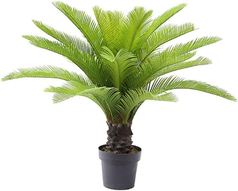 Photo 1 of AMERIQUE Gorgeous 3 Feet Cycas Revoluta Sago Palm Tree Artificial Plant with Nursery Pot, Feel Real Technology, 28 Long & Giant Leaves, Green
