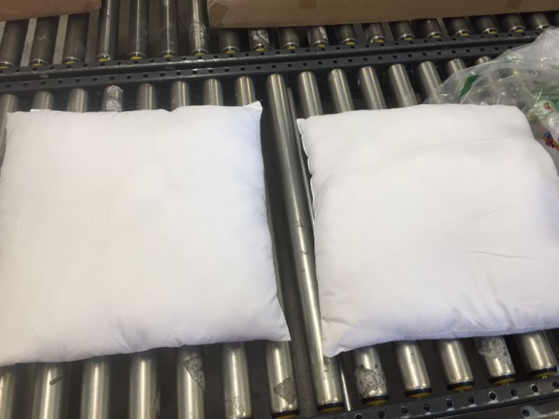 Photo 1 of 2 Pk 20"x20" throw pillow inserts 