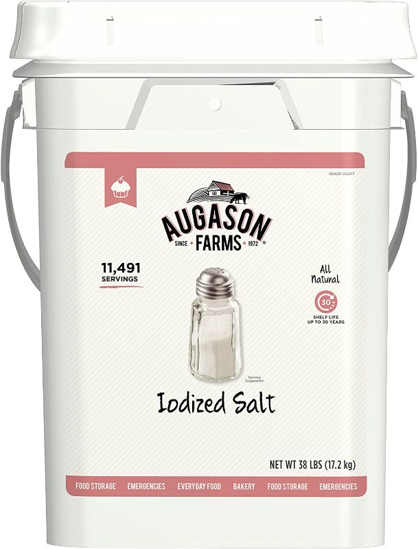 Photo 1 of Augason Farms Iodized Salt Certified Gluten Free Long Term Bulk Food Storage 4 Gallon Pail 11, 491 Servings
