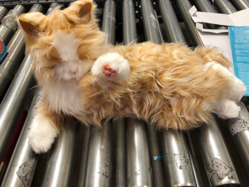 Photo 2 of JOY FOR ALL - Orange Tabby Cat - Interactive Companion Pets - Realistic & Lifelike
