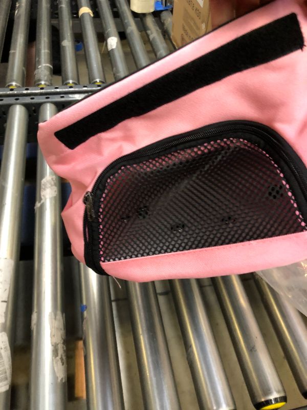 Photo 1 of dodo pet buggy pink