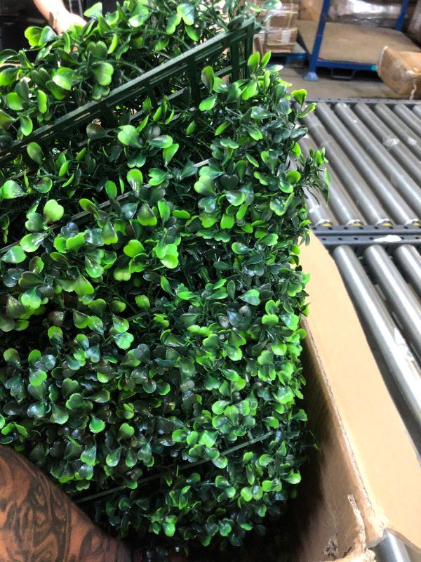 Photo 3 of artifical boxwood hedge 12pack 20"x20"