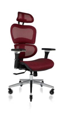 Photo 1 of NOUHAUS® ERGO3D ERGONOMIC OFFICE CHAIR red 
