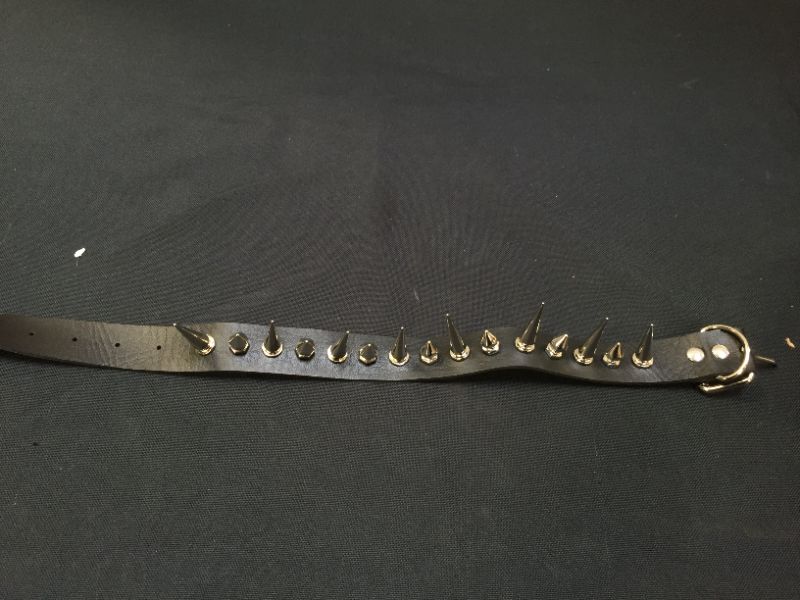 Photo 2 of 17 INCH SPIKE COLLAR BLACK WITH SILVER 