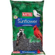 Photo 1 of  Kaytee Black Oil Sunflower Bird Seed, 5 lb
Best before - 08/09/2023