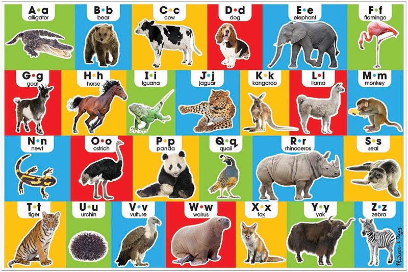 Photo 1 of Melissa & Doug Animal Alphabet Floor Puzzle - 24 Pieces
