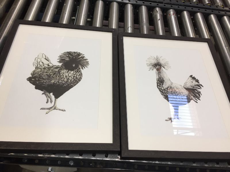 Photo 2 of (Set of 2) 16" x 20" Chickens Framed Wall Art - Threshold™

