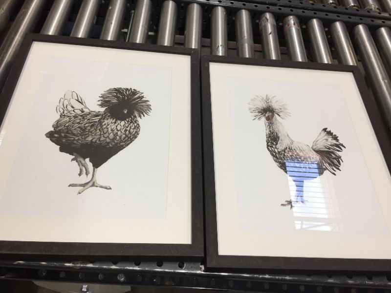 Photo 1 of (Set of 2) 16" x 20" Chickens Framed Wall Art - Threshold™




