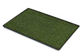 Photo 1 of Prevue Pet Products Tinkle Turf For Large Dog Breeds 41x28in
