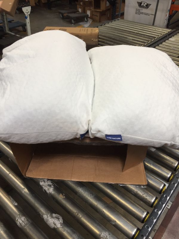 Photo 2 of 2 Pack Shredded Memory Foam Pillows