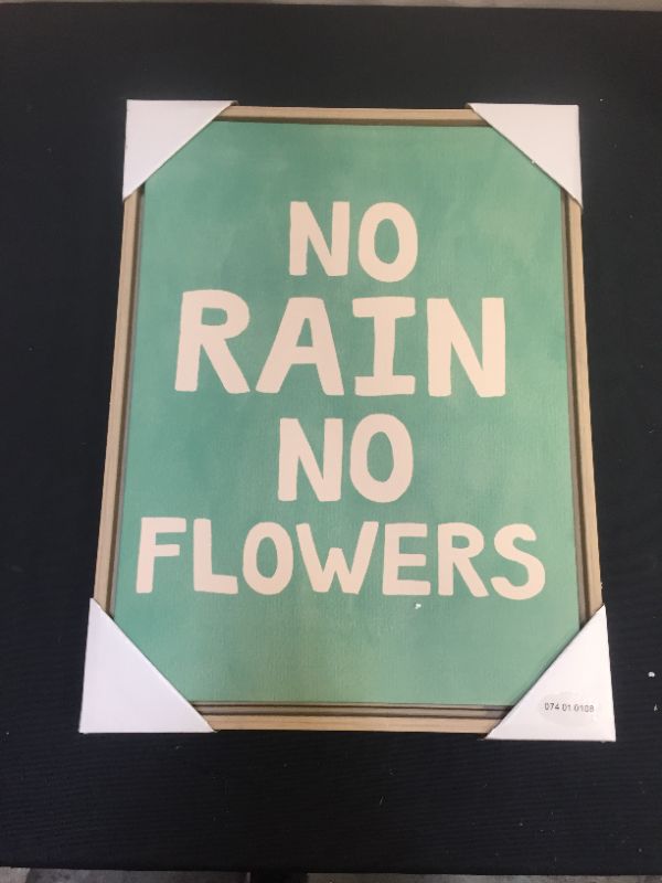 Photo 1 of "NO RAIN NO FLOWERS" WALL ART 12X16 IN