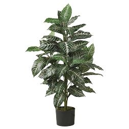 Photo 1 of 36" x 20" Artificial Zebra Silk Plant in Wicker Pot - Nearly Natural