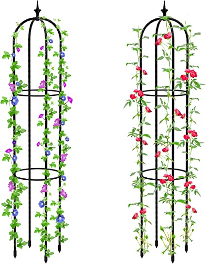 Photo 1 of 27cm Plant Support Cage