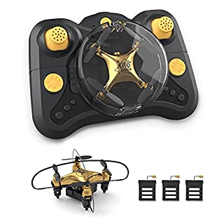 Photo 1 of Holyton HT02 Golden Mini Drone for Adult Beginners and Kids, Portable RC Quadcopter with Auto Hovering, 3D Flip, 3 Speed Modes, Headless Mode and 3 Batteries, Emergency Stop, Gift for Boys Girls (B0916ZN6PH)
