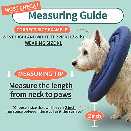 Photo 1 of ARRR Comfy UFO - Pet recovery collar, waterproof, soft, adjustable, neck protector for small and medium dogs and cats, safe alternative cone for after surgery