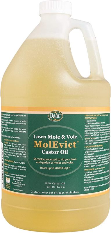 Photo 1 of Baar Lawn Mole Castor Oil, MolEvict – 1 Gallon | Up to 20,000 Sq. Ft. of Coverage | Keep Moles and Voles Out of Your Lawn and Garden | Safe for Use Around House and Plants Guaranteed
