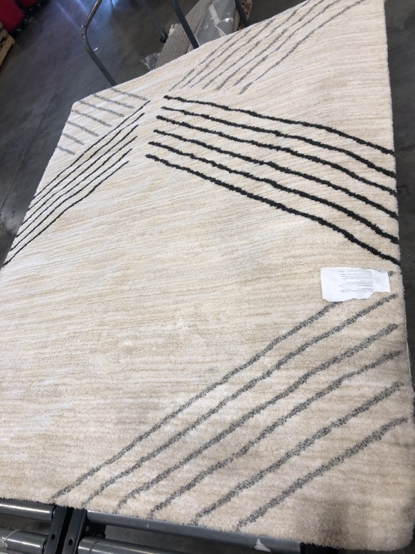 Photo 1 of 6'7x5ft home area rug black and white line design